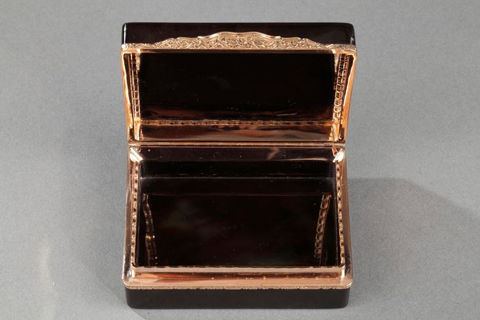 Tortoiseshell, gold cagework snuff box | MasterArt